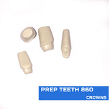 Typodont Model 860 with Pre Prepped Teeth